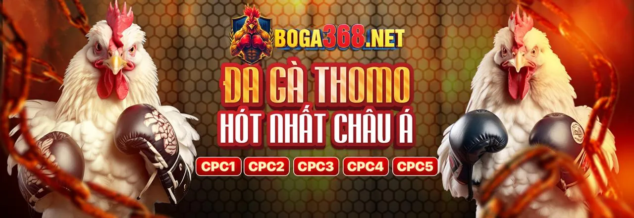 Ưu đãi chào mừng thành viên mới hi88bet nhà cái